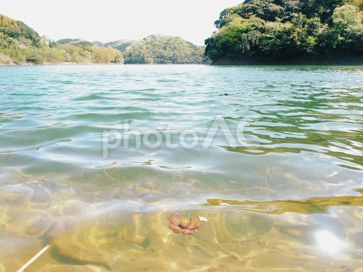 福岡県宮若市の力丸ダムの風景。 力丸ダム,ダム,福岡県の写真素材