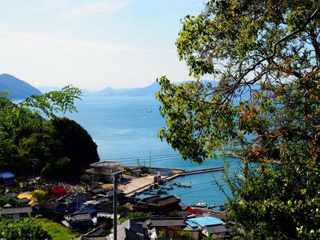 青空と海と港町 青空と海と港町 海,空,森の写真素材