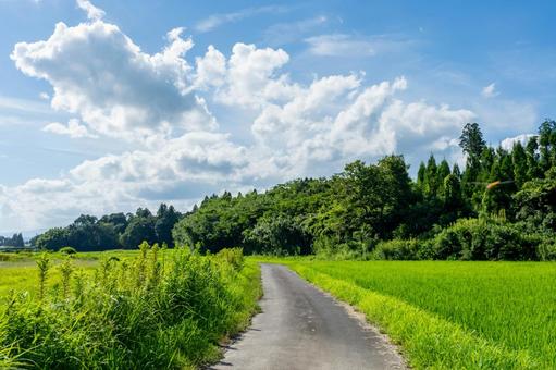 夏の青空と白い雲の写真