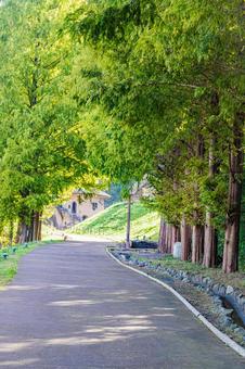 埼玉県　あけぼの子どもの森公園の風景 さいたま,埼玉,埼玉県の写真素材