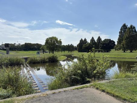 大宮第二公園 ひょうたん池。 大宮第二公園 ひょうたん池。の写真