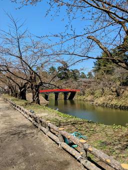 青森県 弘前公園の風景 青森県 弘前公園の風景の写真