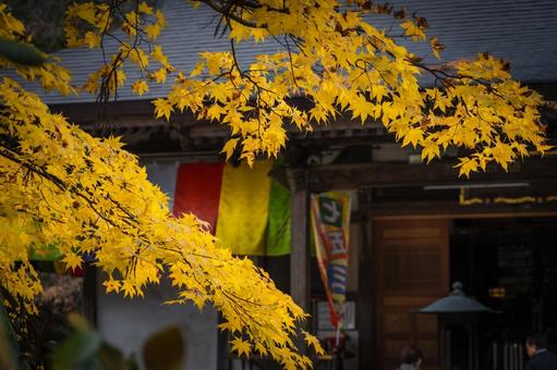棚倉町　山本不動尊　紅葉 山本不動尊,紅葉,棚倉町の写真素材