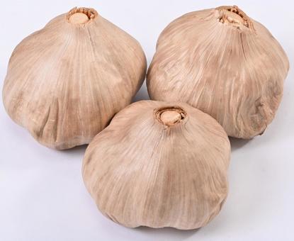 青森県産 黒にんにく 青森県産 黒にんにく にんにく,黒にんにく,野菜の写真素材