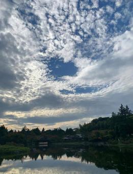 池の反射 池の反射の写真
