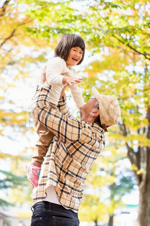 秋の公園で遊ぶ父親と子供 親子,子供,キッズの写真素材