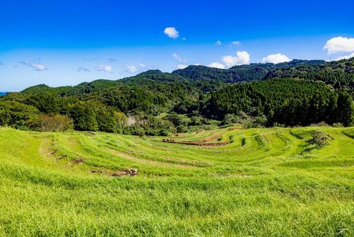 千葉県 青空を背景にした棚田 千葉県 青空を背景にした棚田 大山千枚田,青空,棚田の写真素材