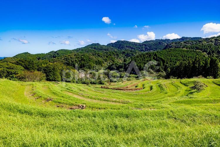 千葉県　青空を背景にした棚田 大山千枚田,青空,棚田の写真素材