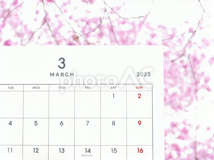 3月のカレンダー（桜の背景） 3月,３月,三月の写真素材