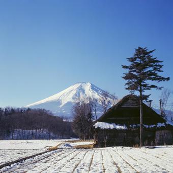 1970年代よりも前に撮影した富士山 昔,富士山,風景の写真素材