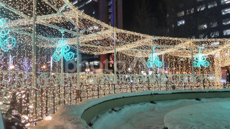 さっぽろホワイトイルミネーション イルミネーション,ホワイトイルミネーション,ライトアップの写真素材