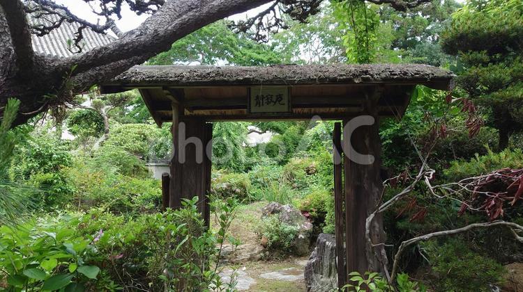 奈良県-當麻寺-千佛院-静寂庵 當麻寺,寺,二上山の写真素材