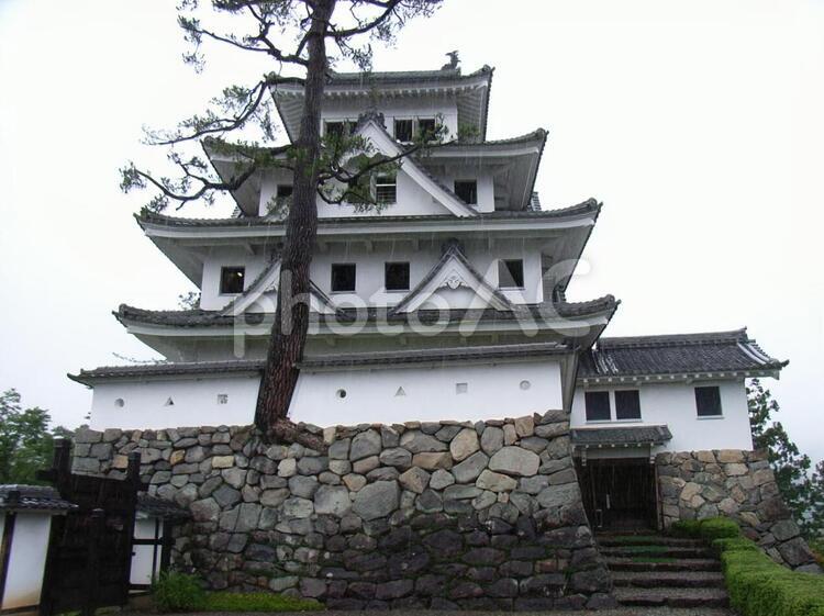 郡上八幡城模擬天守 郡上八幡城,郡上市の写真素材