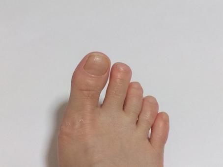 照片, 脚趾, 身体, 足指, 