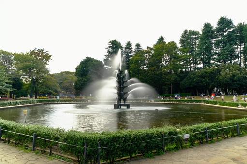 世田谷公園 世田谷公園の写真