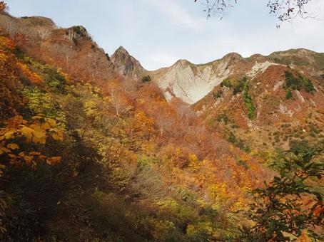 紅葉(雨飾山) 紅葉(雨飾山) 紅葉,秋,もみじの写真素材