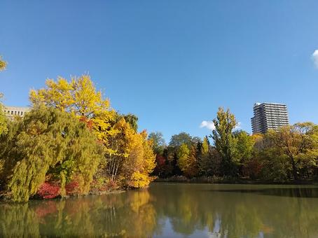紅葉と池 秋,風景,空の写真素材