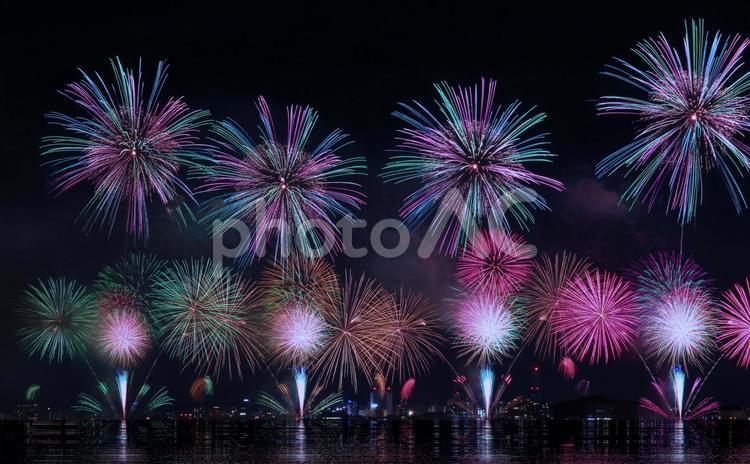 鮮やかな湖上打ち上げ花火/松江水郷祭 打ち上げ花火,花火,夏の写真素材