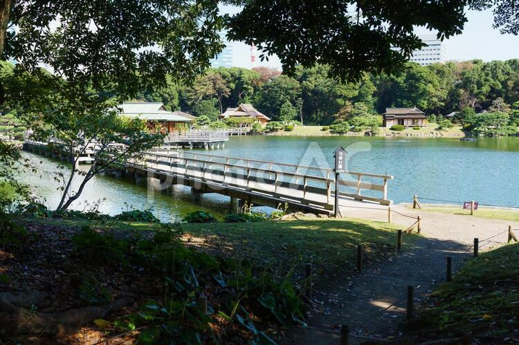 浜離宮恩賜庭園 浜離宮恩賜庭園,浜離宮,庭の写真素材
