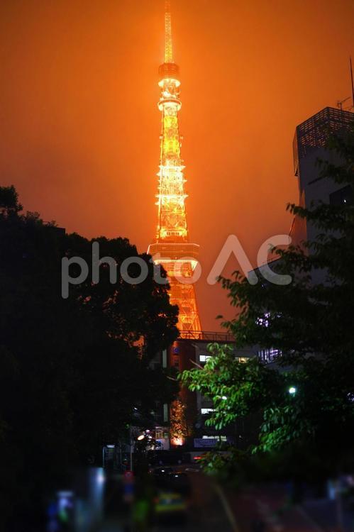 雨の日の東京タワー 東京タワー,タワー,ライトアップの写真素材