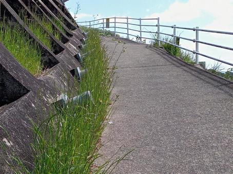 山頂目指して 山頂目指しての写真