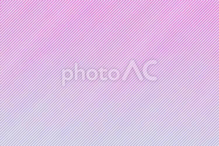 ピンク系　グラデーション　背景 ピンク,ストライプ,春の写真素材
