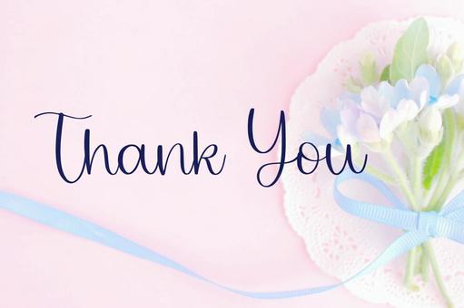 Thank you（ありがとう） 花,ブルースター,ブルーの写真素材