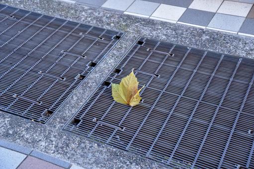 隙間に挟まる落ち葉 隙間,落ち葉,側溝の写真素材