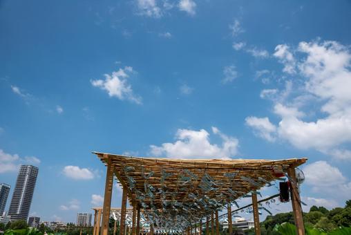 夏の風物詩・風鈴(上野公園)3 夏の風物詩・風鈴(上野公園)3の写真