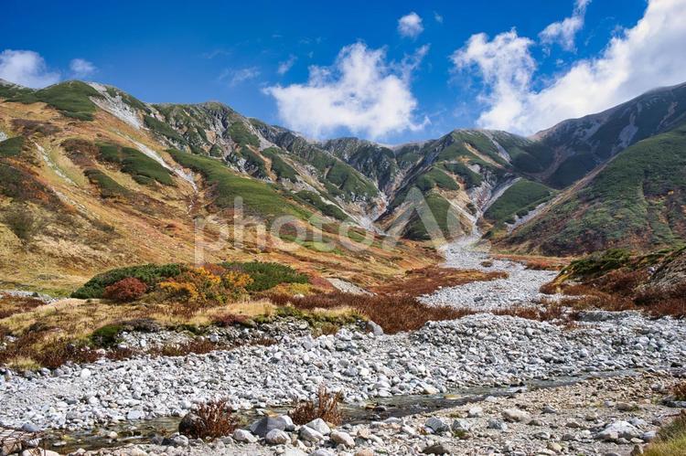 雷鳥沢　立山　北アルプス　富山県 雷鳥沢,立山,秋の写真素材