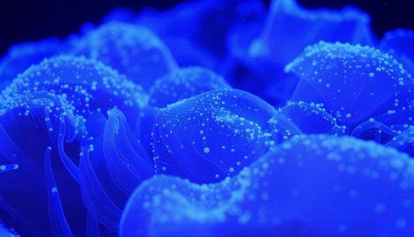 バイオテクノロジーのイメージ バイオテクノロジーのイメージの写真