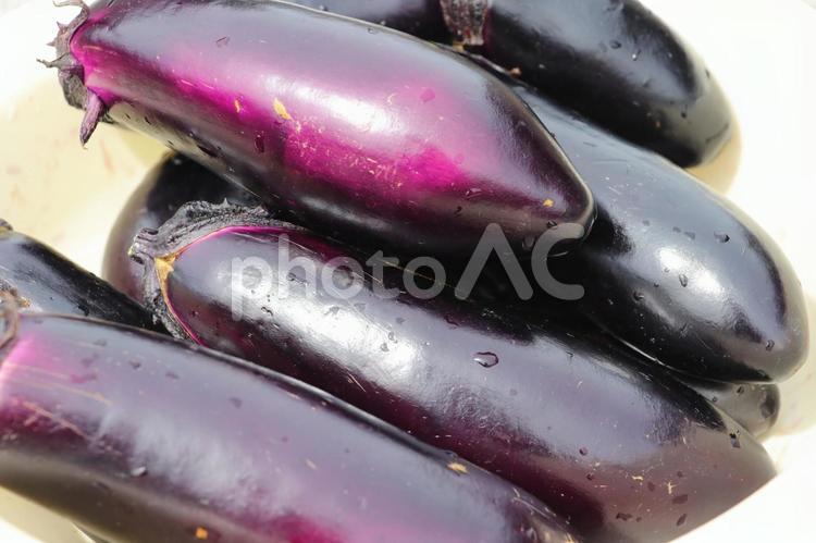 おふくろが育てた大きな茄子 なす,茄子,ナスの写真素材