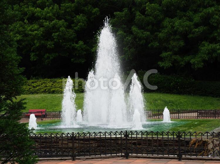 噴水＜神奈川県立相模原公園＞ 噴水,公園,庭園の写真素材