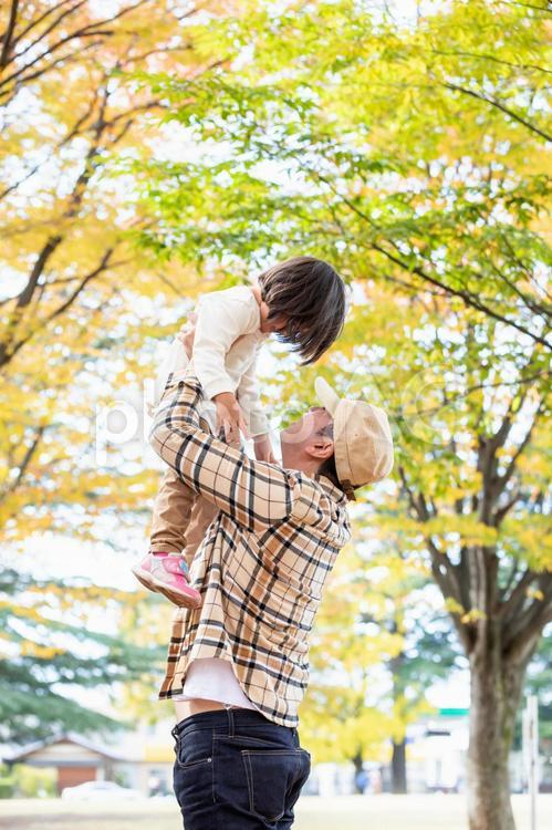 秋の公園で遊ぶ父親と子供 イクメン,パパ,親子の写真素材