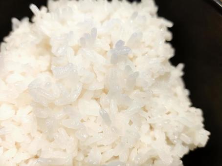 炊き立ての真っ白なご飯をアップ 炊き立ての真っ白なご飯をアップ ご飯,白米,米の写真素材