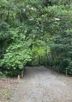 山の入り口 山の入り口の写真