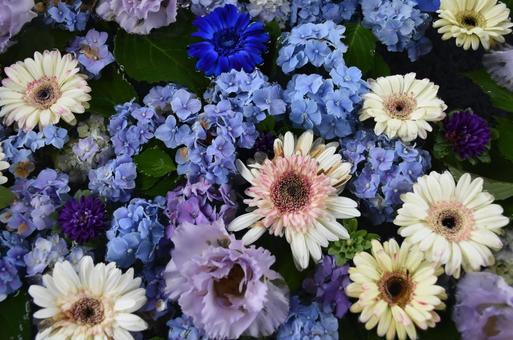 たくさんのお花 たくさんのお花 北海道,小樽,住吉神社の写真素材