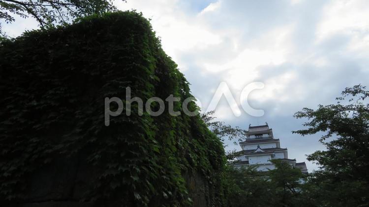 鶴ヶ城　天守　外観復元 鶴ヶ城,若松城,会津若松城の写真素材