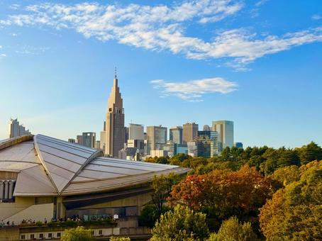 紅葉と新宿のスカイラインとブルースカイ 青空,空,ブルースカイの写真素材