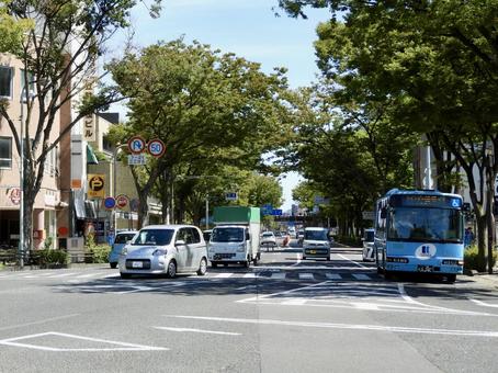 高松市役所前の並木道 高松市役所前の並木道 高松市,道路,街路の写真素材