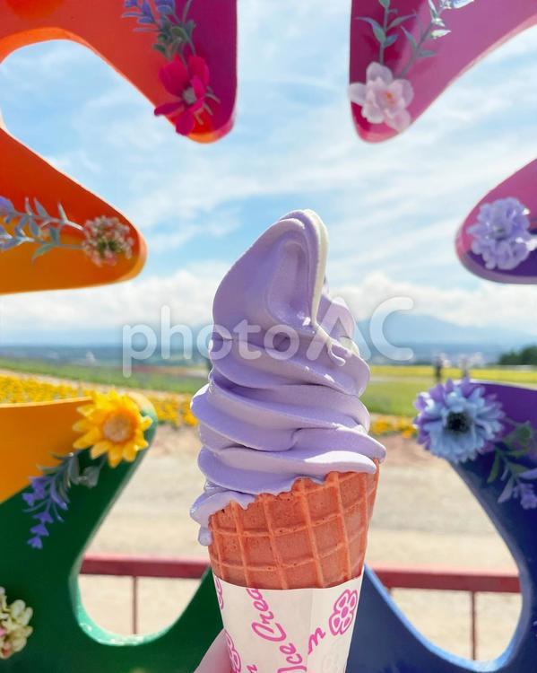 富良野のラベンダーソフトクリーム 富良野,ラベンダー,スフトクリームの写真素材