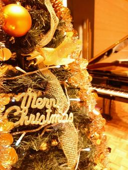 クリスマスツリーとピアノ クリスマス,ピアノ,グランドピアノの写真素材