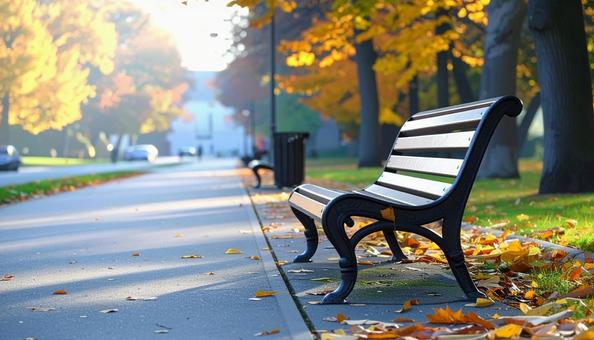 秋の公園のベンチと落ち葉 秋の公園のベンチと落ち葉の写真