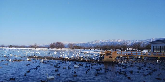 冬の湖と遠くの山並みの風景 冬の湖と遠くの山並みの風景の写真