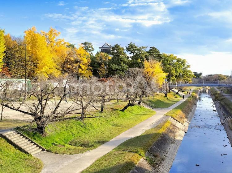 龍城橋から見る伊賀川　岡崎城も遠望 龍城橋,伊賀川,岡崎城の写真素材