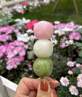 ピンクの花畑と三食団子 ピンクの花畑と三食団子の写真