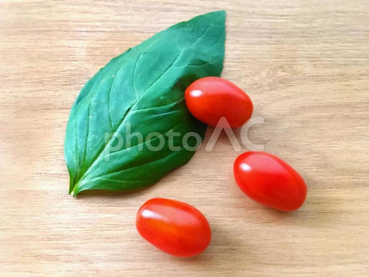 イタリアンパスタの定番食材のバジルとトマトのシンプルなイメージ素材 バジル,トマト,イタリアンの写真素材