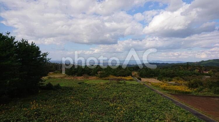 大山からの景色(島根) 風景,何人もありません,木の写真素材