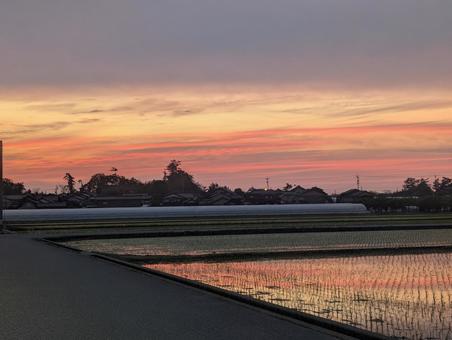 夕焼け 夕日,田舎,暖かいの写真素材