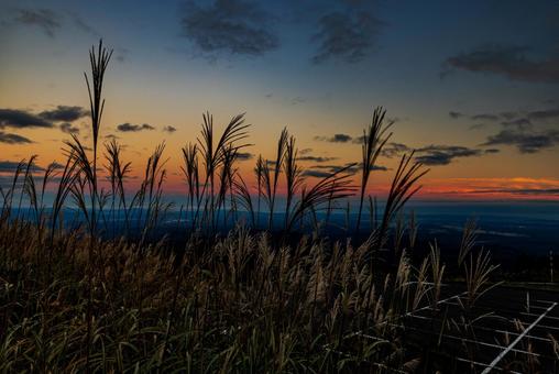 栗駒山 夕焼けに染まるススキ 栗駒山 夕焼けに染まるススキ 山,ススキ,すすきの写真素材